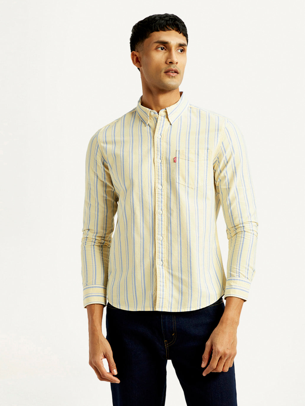 Men's Striped Slim Fit Oxford Shirt
