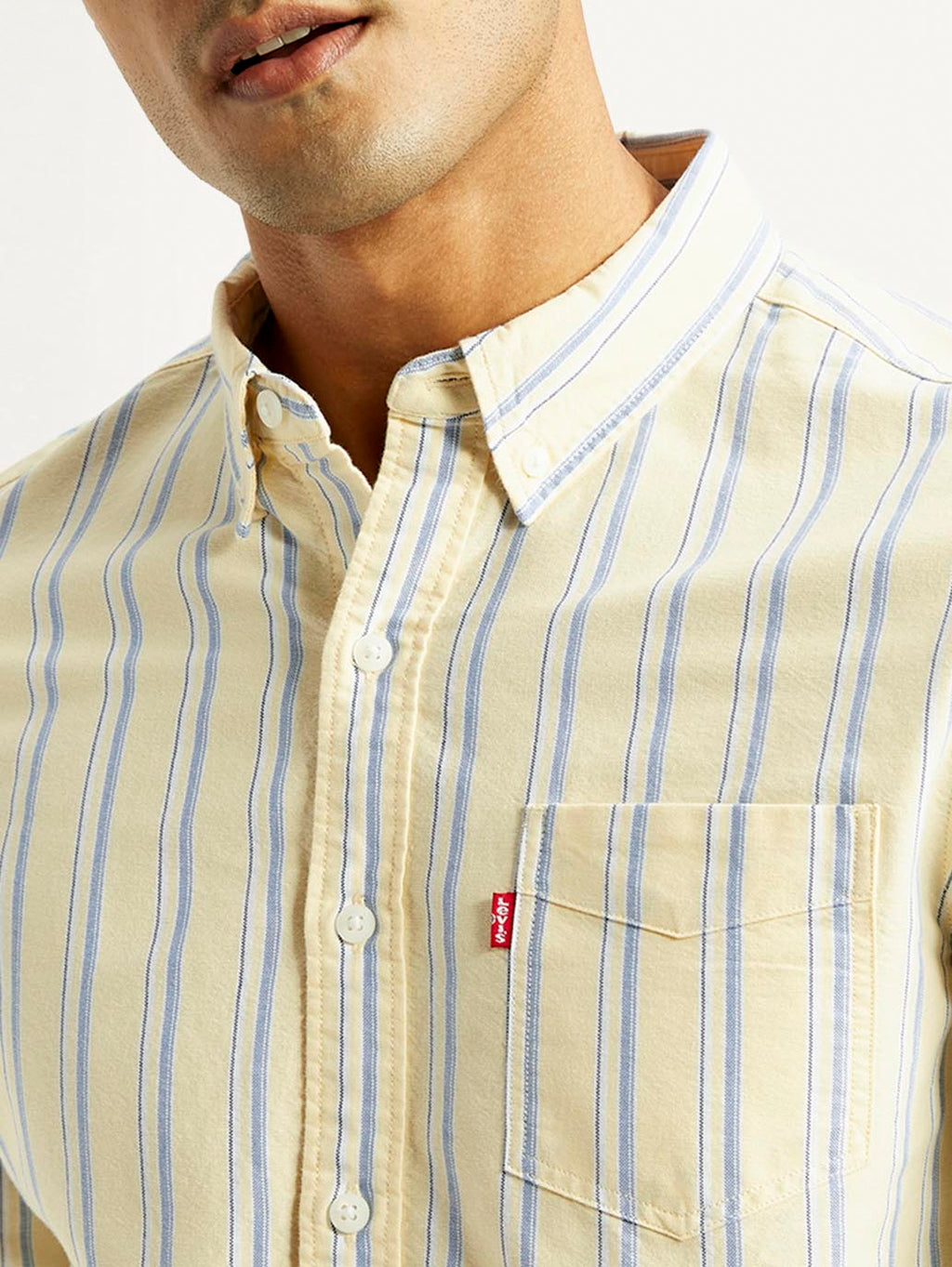Men's Striped Slim Fit Oxford Shirt
