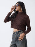 Nuon Dark Brown Self-Striped Sweater
