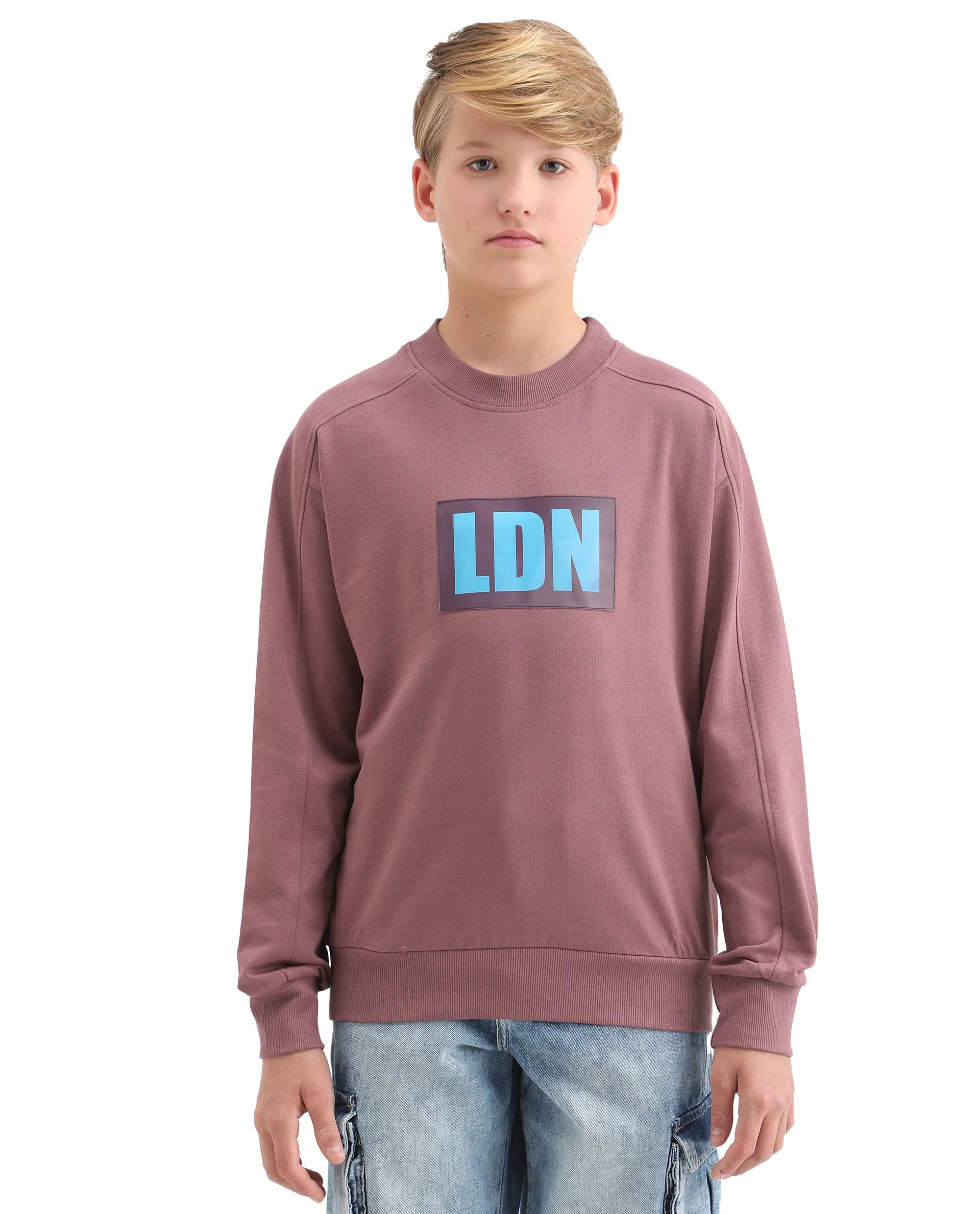 Rare Ones Kids Zayn Dusky Pink Cotton Pull On Crew Neck Full Sleeves Fit Sweatshirt