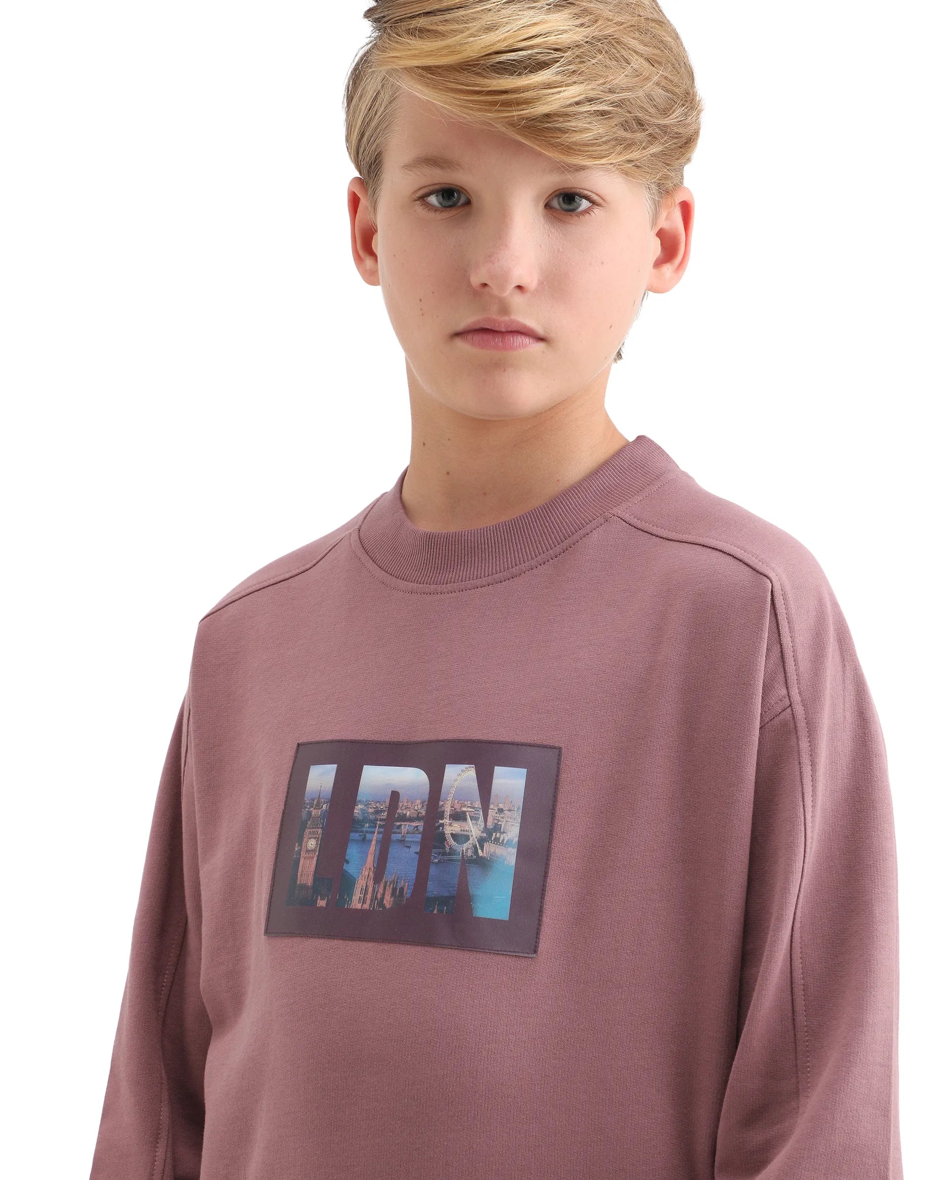 Rare Ones Kids Zayn Dusky Pink Cotton Pull On Crew Neck Full Sleeves Fit Sweatshirt