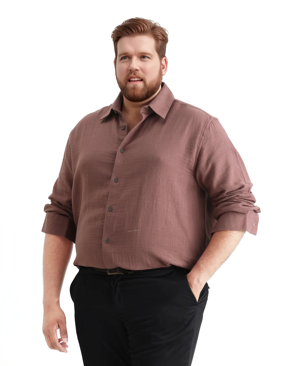 Rare Rabbit Men Enim-L Dusky Maroon Cotton Fabric Full Sleeve Spread Collar Button Closure Plain Shirt