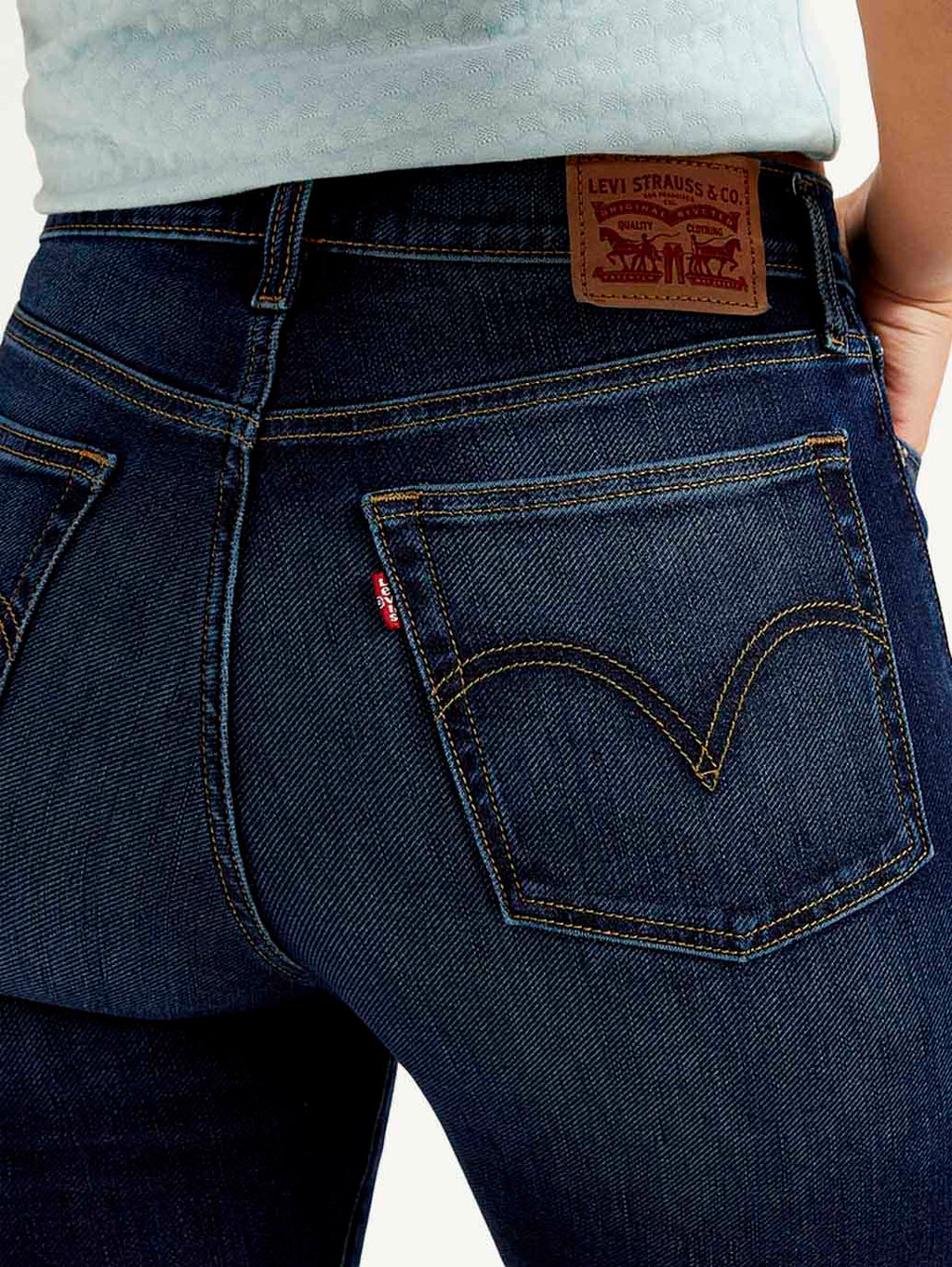 Women's Navy Blue Wedgie Straight Fit Mid Rise Jeans