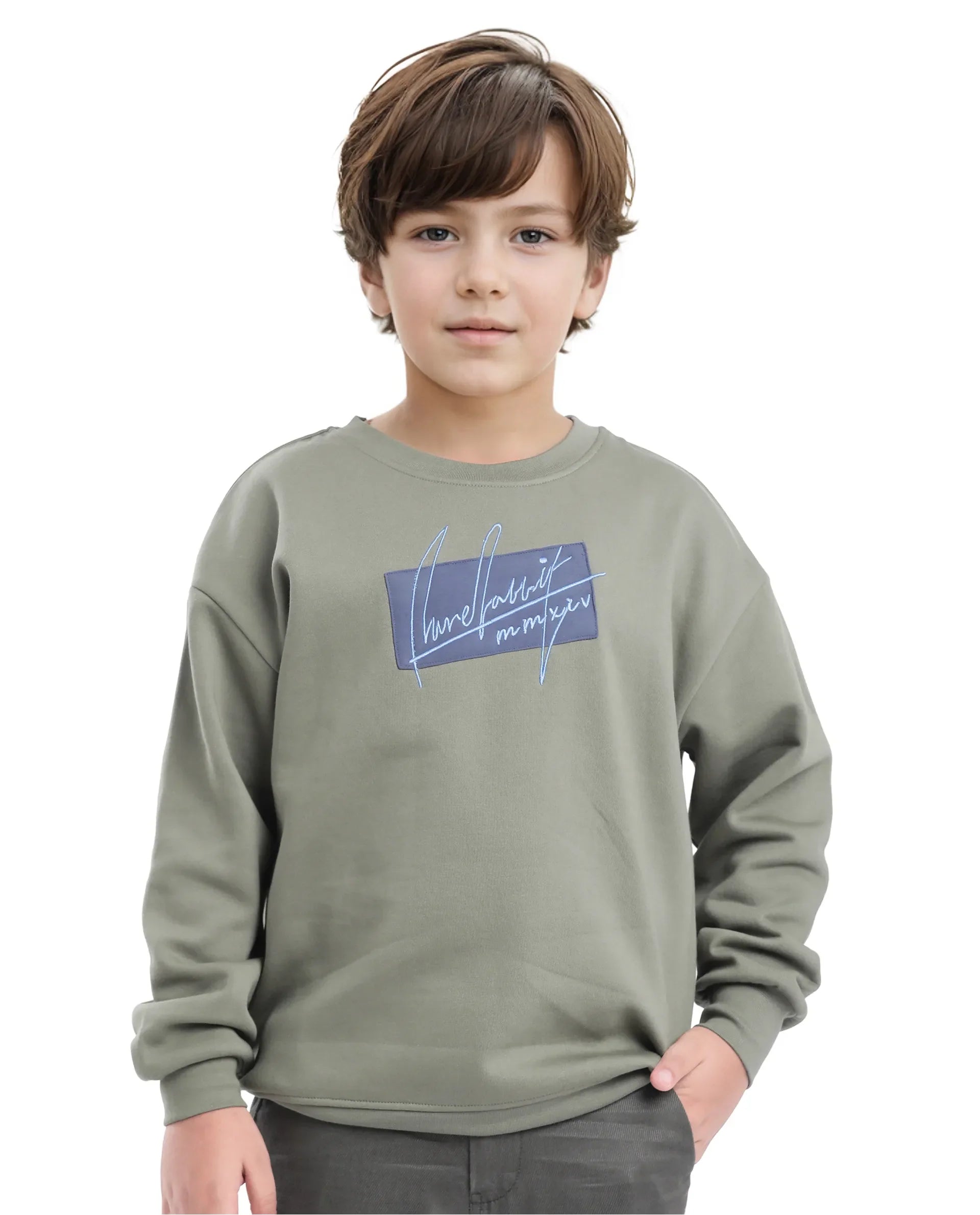 Rare Ones Kids Niret Dusky Green Cotton Poly Full Sleeve Embroidered Sweatshirt