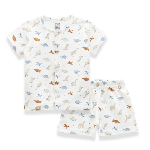 Little Dinosaurs Printed Baby Clothing Set