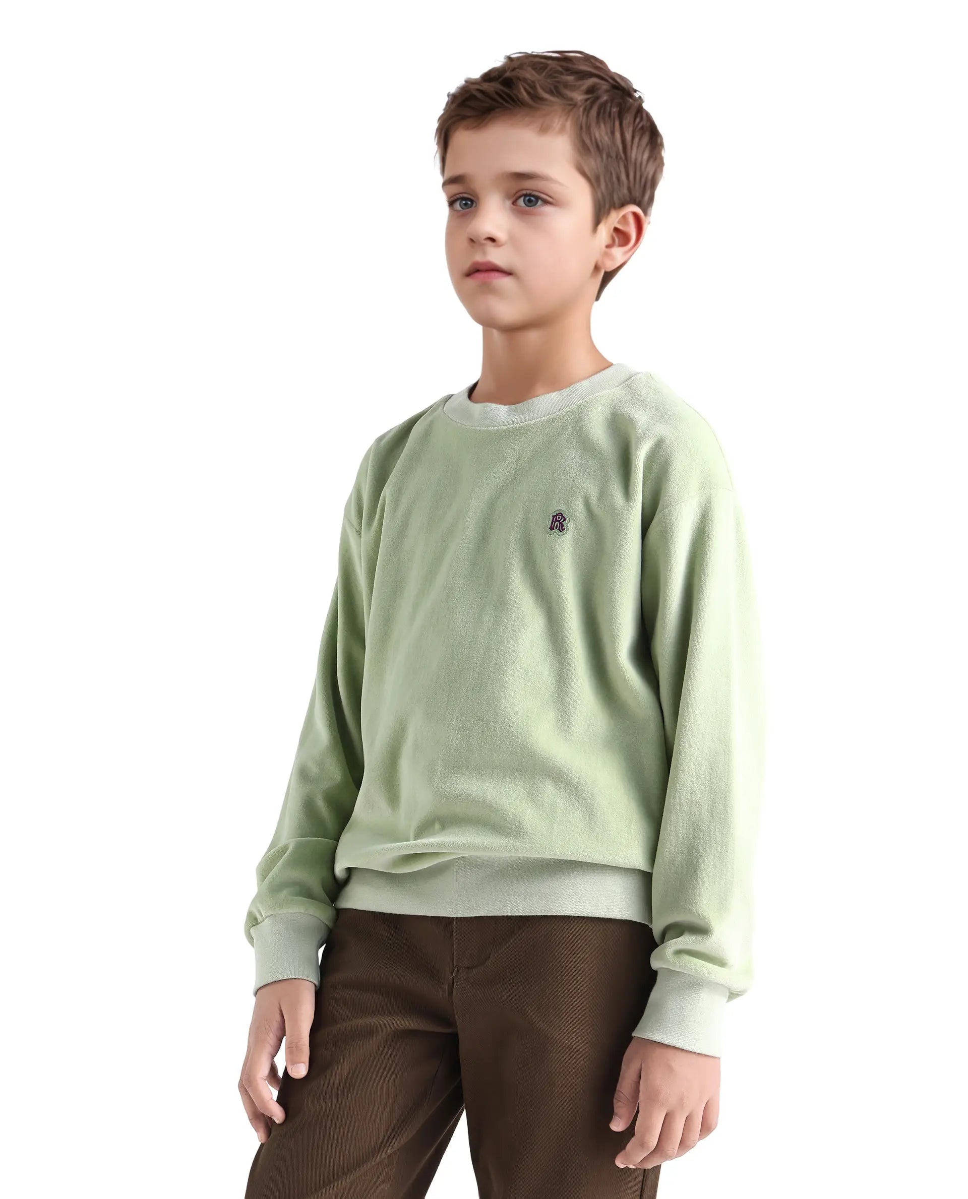 Rare Ones Kids Ellis Light Green Cotton Pull On Crew Neck Full Sleeves Fit Sweatshirt